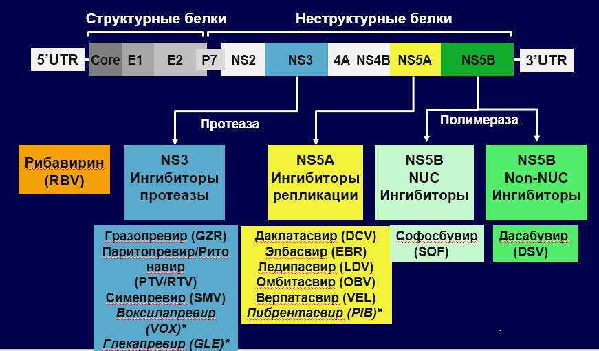 Ингибитором протеазы ns3/4a вируса гепатита с. Ингибитор протеазы ns3/4a. Структурные и неструктурные белки вируса гепатита с. Ингибиторы протеолитических ферментов при вирусном гепатите. Hcv ns